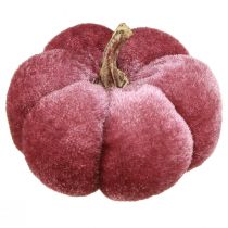 daiktų Moliūgas iš audinio dekoro aksominis bordo rožinis Ø7cm 9 vnt