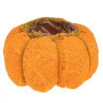 Moliūgų vazonas oranžinis/gelsvai žalias iš sizalio Ø15cm H9cm