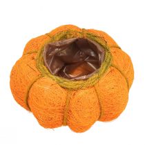daiktų Moliūgo vazonas, oranžinis/geltonai žalias, pagamintas iš sizalio, Ø15 cm, aukštis 9 cm