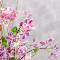 daiktų Dirbtinė Clematis šakelė, ilgaamžė stalo dekoracija, 110 cm, 3 dalys
