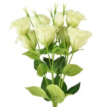 daiktų Dirbtinės gėlės Eustoma Lisianthus geltona žalia 52cm 5 vnt