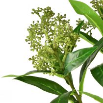 daiktų Dirbtinės gėlės žalios Skimmia japonica Skimmie 45cm 2vnt