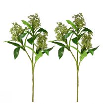 daiktų Dirbtinės gėlės žalios Skimmia japonica Skimmie 45cm 2vnt