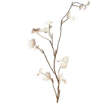 daiktų Dirbtinis rudeninis Heuchera Branch kremas dirbtinis rudas L85cm