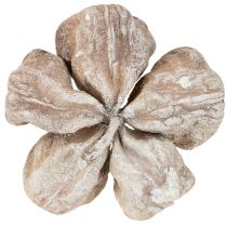 daiktų Landlotus White Washed 6-12cm 50 vnt.