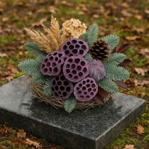 daiktų Lotoso kapsulės, sausa floristika, lotoso svogūnėlis rožinis, išplauti balta 50 vnt