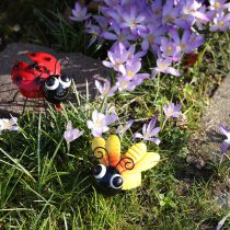 daiktų Ladybug Bee Metal Dekoracija su magnetu Asorti 9,5cm 2vnt