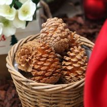 daiktų Maritima vafliniai kūgiai su grietinėlės ir vanilės skoniu, 5-18 cm, 25 vnt.