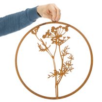 daiktų Metalinis žiedas, surūdijęs metalas, dekoratyvinis žiedas, sienos dekoracija, krapo šakelė, Ø38cm