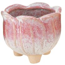 daiktų Mini sėjamoji keraminė vazoninė gėlė Ø8cm H7cm 3vnt