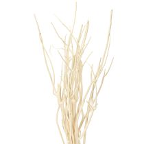 daiktų Mitsumata šakos baltos 34-60cm 12 vnt