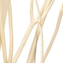 daiktų Mitsumata šakos baltos 34-60cm 12 vnt