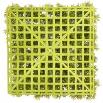 daiktų Dirbtinis samanų kilimėlis – puikiai tinka samanų paveikslui šviesiai žaliai 25×25cm