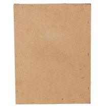 daiktų Samanų paveikslas, tikrų samanų paveikslas su rėmu, konservuotas, 40 × 30 cm