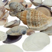 daiktų Natūralus midijų mišinys 400g