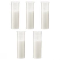 daiktų Užpildomos žvakės kapo žibintams baltos 84h H17cm 5 vnt