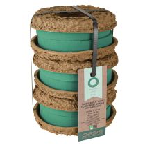 daiktų OASIS® Biolit® Žiedas/Vainikas 17cm 6 vnt