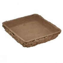 daiktų Oasis Biolit paklotas ½ gėlių putplasčio plyta 13×13×2cm 12 vnt.