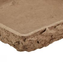 daiktų Oasis Biolit paklotas 2 gėlių putplasčio plytelėms 48×13×2cm 7 vnt.