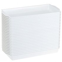daiktų OASIS® baltas sumuštinių padėklas florizmui ir dekoravimui, 23x11x2,5 cm, 25 dalių rinkinys