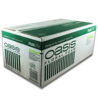 daiktų OASIS® Plug-in samanų maxlife Standard 20 plytų
