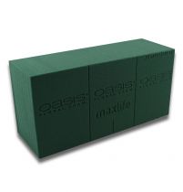 daiktų OASIS® Plug-in samanų maxlife Standard 20 plytų