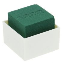 daiktų OASIS® stalo dizainas 6cm Neo &amp; Viva 24 vnt