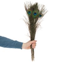 daiktų Povo plunksnos, tikros paukščių plunksnos rankdarbiams ir dekoravimui, 55 cm, 10 vnt.