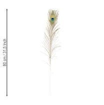 daiktų Povo plunksnų dekoracija, tikros paukščių plunksnos, 75-85 cm ilgio, 8 vnt.