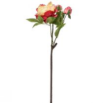 daiktų Bijūnai Šilkinės Gėlės Dirbtinės Gėlės Rožinės Geltonos 68cm