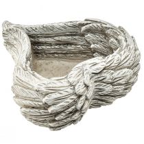 daiktų Augalinės širdies plunksnos išlietos akmeninės širdelės pilka balta 13×12×6cm 2vnt