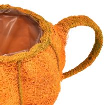 daiktų Augalų vazonas moliūgų dekoras oranžinė geltona žalia Ø19cm H12cm