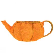 daiktų Vazono moliūgų dekoracija oranžinė gelsvai žalia Ø19cm A12cm