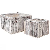 daiktų Augalinės dėžutės mediena su žieve natūraliai balta 17/24cm rinkinys iš 2 vnt