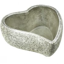 daiktų Augalų dubuo širdies kapo puošmena augalo širdelė pilka balta 18×19cm H7,5cm