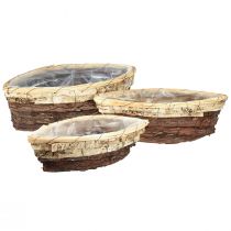 daiktų Augalinės valtys medžio žievė 3 spalvų 33,5/40/48cm rinkinys iš 3 vnt.