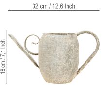 daiktų Vintažinis metalinis augalų vazonas/laistytuvas, antikvarinė sodo puošmena, 32x10,5x18 cm
