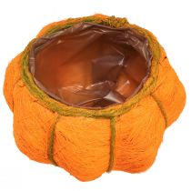 daiktų Vazono dekoracija moliūgo, oranžinės/geltonos-žalios spalvos, sizalio, Ø21cm, aukštis12cm