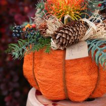 daiktų Vazono dekoracija moliūgo, oranžinės/geltonos-žalios spalvos, sizalio, Ø21cm, aukštis12cm