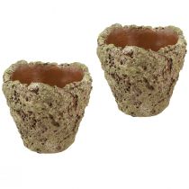 daiktų Sodinamosios vazonas kaimiško miško išvaizdos sodintuvas Ø12,5cm H12cm 6vnt