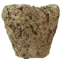daiktų Vazonas su kaimišku miško imitacijos efektu, Ø12,5 cm, aukštis 12 cm, 2 vnt.