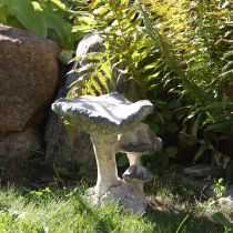 daiktų Grybų dekoracija, lieto akmens, pilkai balta, nusausinta, 21,5 × 18 × 22 cm