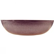 daiktų Elegantiškas purpurinis plastikinis dubuo 37x10,5 cm - universalus dekoravimui - 3 vnt
