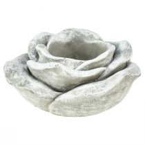 daiktų Rožių kapo dekoravimo stalo dekoravimo žvakidė pilka balta Ø14cm H7cm
