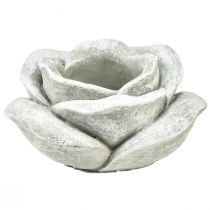 daiktų Rožių keramikos kapo dekoravimo stalo dekoravimo žvakidės didelė Ø17cm H9cm