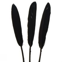 daiktų Juodos plunksnos Dekoratyvinės žąsies plunksnos Juodos 11-14cm 180 vnt