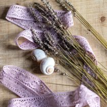 daiktų Nėrinių juostelė Violetinė Dekoratyvinė juostelė Gėlių pavasaris W18mm L20m