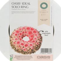 daiktų OASIS® Gėlių putplasčio vainiko žiedai, žali, aukštis 3 cm, Ø 25 cm, 6 vnt.