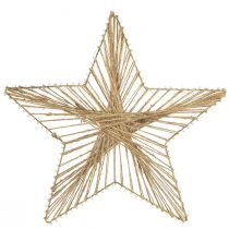 daiktų Star Jute Natural Rustic Poinsettia 30cm 4vnt