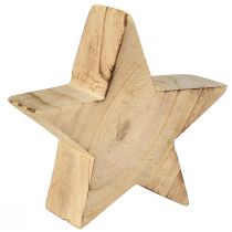 daiktų Kaimiška dekoratyvinė žvaigždė, pagaminta iš paulownia medžio - natūralaus dizaino, Ø 15 cm, 6 cm storio - universalus medinis dekoras - 2 vnt.